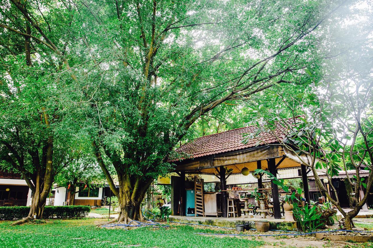 Baan Thai Resort Chiang Mai Eksteriør billede